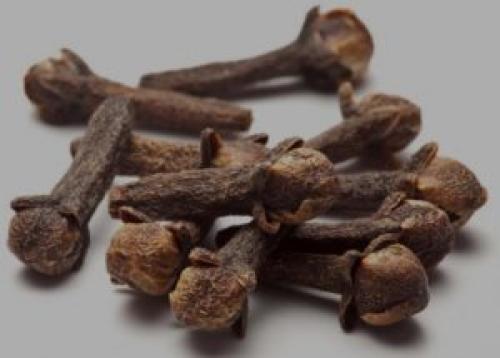 Как избавиться от жуков в крупе и шкафу на кухне. Народные средства избавления от жуков на кухне