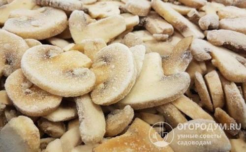 Можно ли замораживать шампиньоны свежие в морозилке. В сыром виде