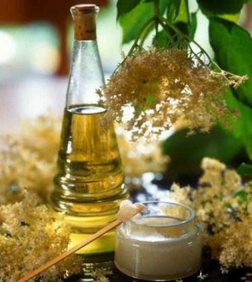 Средство против моли на кухне. 10 лучших народных рецептов против пищевой моли в крупах и других продуктах