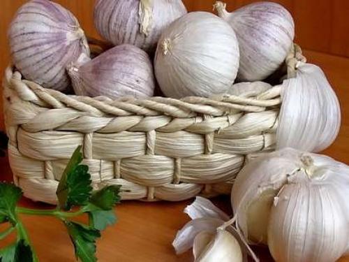 Средство против моли на кухне. 10 лучших народных рецептов против пищевой моли в крупах и других продуктах