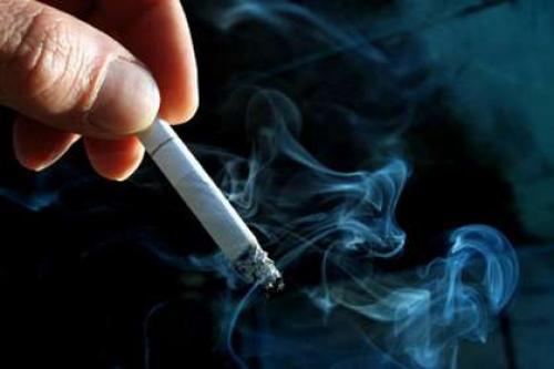 Средство против моли на кухне. 10 лучших народных рецептов против пищевой моли в крупах и других продуктах