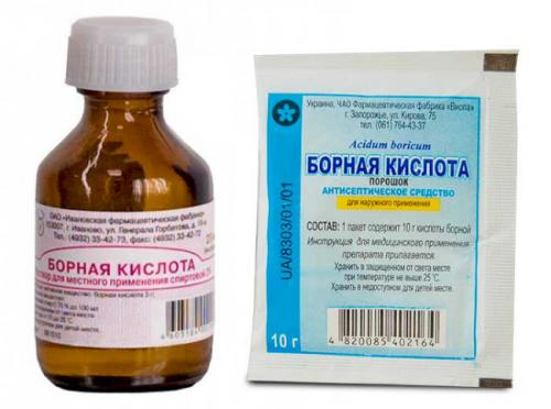 Как избавиться от мокриц в частном доме. Эффективные методы борьбы с вредителем