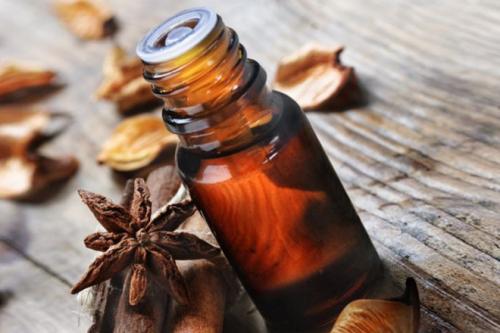 От чего умирают тараканы. Чего боятся тараканы — то и нужно применять в первую очередь