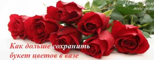 Как освежить цветы в вазе тюльпаны. Как сохранить букет цветов в вазе подольше