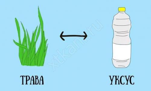 Чем оттереть траву с одежды. Как отстирать траву с белой одежды