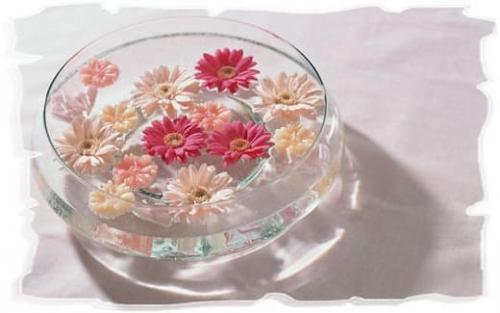 Как засушить цветы, чтобы они не потеряли цвет и форму. Как можно засушить объемные цветы