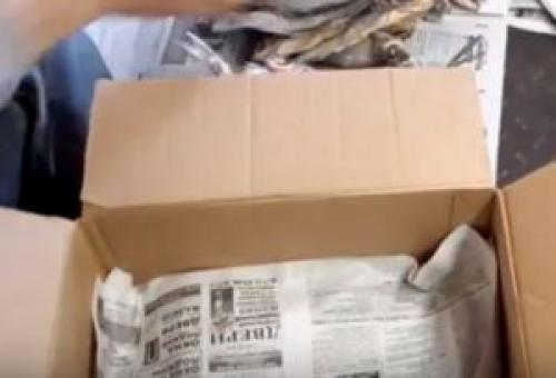 Как хранить таранку. Способ 1: коробка