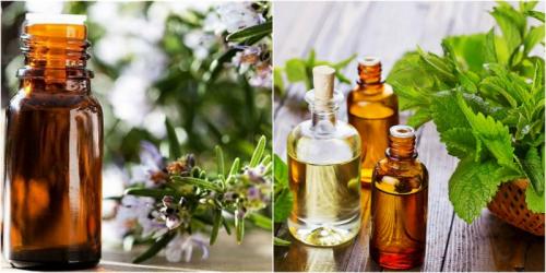 Как избавиться от запаха на кухне. Запах на кухне