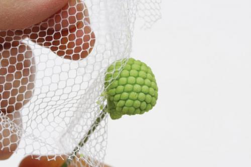 Как сделать цветы для торта в домашних условиях. Цветы из кондитерской пасты для начинающих