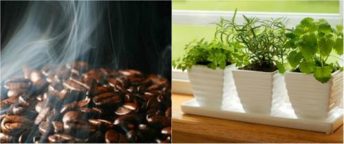 Как избавиться от запаха на кухне. Запах на кухне