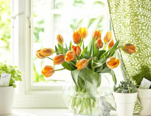 Как избавиться от запаха на кухне. Запах на кухне