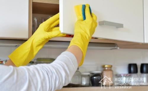 Жучки в крупе, как избавиться от них на кухне. Методы избавления от черных жучков на кухне