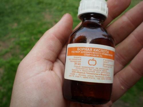Борная кислота жидкая применение в саду и огороде. Зачем и как использовать борную кислоту для растений