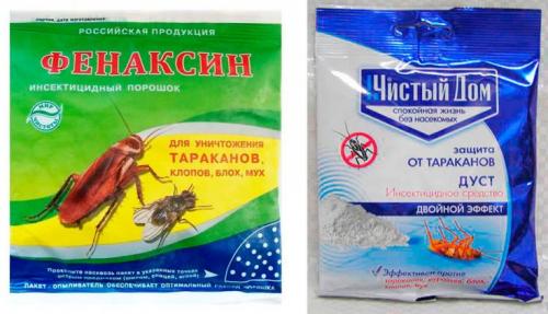 Откуда берутся мокрицы в квартире и как от них избавиться. Эффективные способы избавления от мокрицы