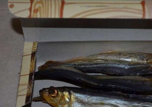 Как хранить копчёную рыбу в холодильнике, чтобы не испортить. Сколько хранится копченая рыба: 5 вариантов, как продлить срок хранения