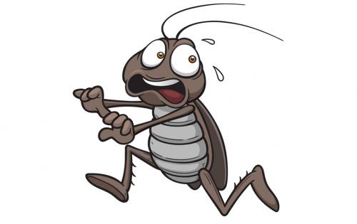 Приманка для тараканов с борной кислотой. От тараканов кислота борная, как применяется — рецепты в домашних условиях 06