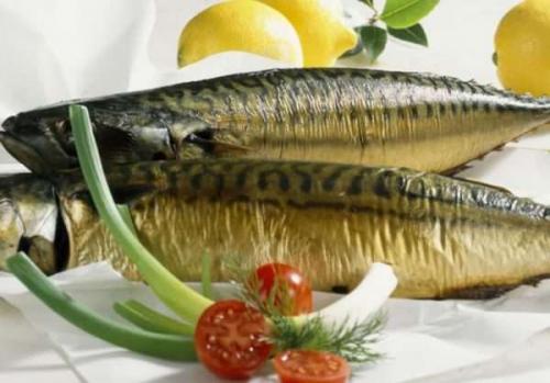 Как хранить копчёную рыбу в холодильнике, чтобы не испортить. Сколько хранится копченая рыба: 5 вариантов, как продлить срок хранения