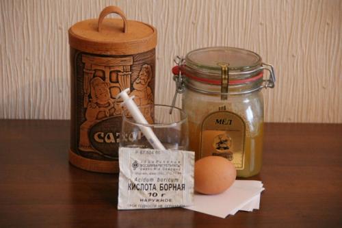 От домашних муравьев, как избавиться в квартире навсегда. Народные средства и рецепты