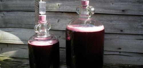 Почему домашнее вино мутное. Как осветлить мутное домашнее вино бентонитом