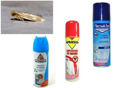 Эффективное средство от моли и личинок в квартире. Как бороться с молью в квартире, откуда она берется, народные средства и химия