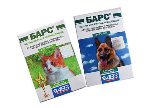 В квартире появились блохи, что делать. Как обнаружить блох? 02