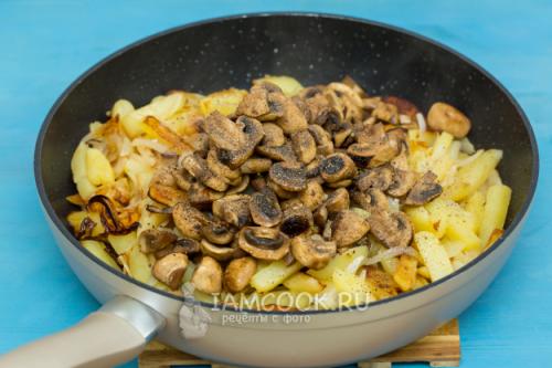 Сколько можно хранить шампиньоны в морозилке. В сыром виде 06