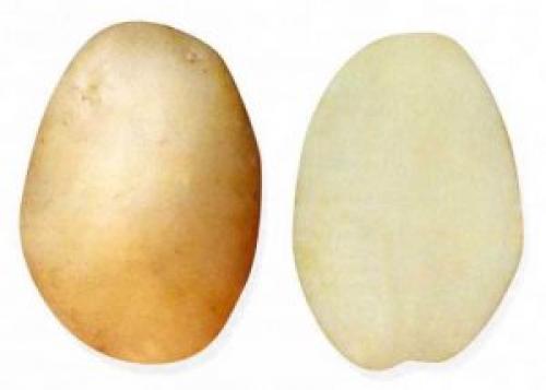 Как определить, что диван загрязнен йодом. Чем оттереть йод с мебели