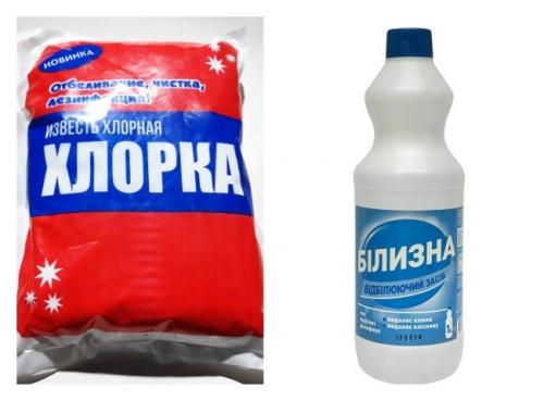 Какой запах не любят блохи. Чего боятся и не любят блохи