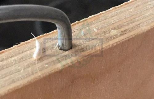 Мокрица в квартире причины. Почему и откуда мокрицы появляются в квартире 02 Мокрица в квартире причины. Почему и откуда мокрицы появляются в квартире 02