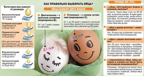 Можно ли варить треснутые яйца. Как сварить яйцо, чтобы его скорлупа не треснула