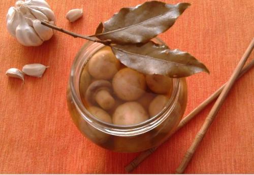 Как замариновать шампиньоны в домашних условиях вкусно и быстро для еды. Маринованные шампиньоны в домашних условиях — 7 очень вкусных рецептов быстрого приготовления