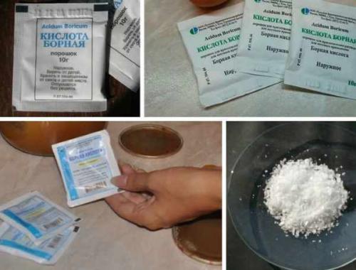 Борная кислота и муравьи. 10 самых популярных народных способов 03 Борная кислота и муравьи. 10 самых популярных народных способов 03