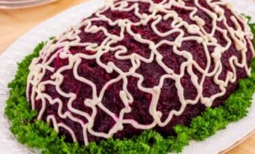 Как правильно приготовить салат под шубой. Пошаговый рецепт приготовления классической селедки под шубой