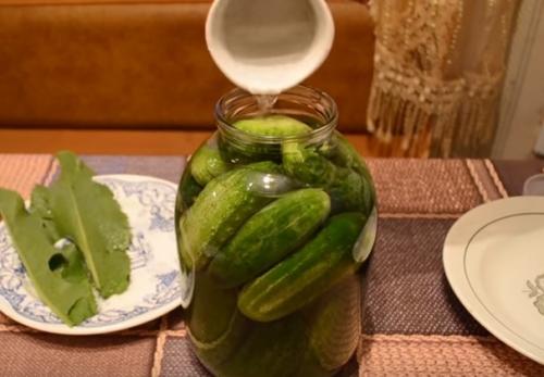 Как сделать соленые огурцы на зиму в банках самый простой способ. Хрустящие соленые огурцы холодным способом. Рецепт на 3 литровую банку