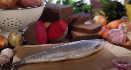 Технология приготовления салата Сельдь под шубой. 10 рецептов салата Сельдь под шубой с правильной последовательностью слоев