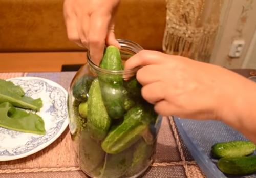 Как сделать соленые огурцы на зиму в банках самый простой способ. Хрустящие соленые огурцы холодным способом. Рецепт на 3 литровую банку