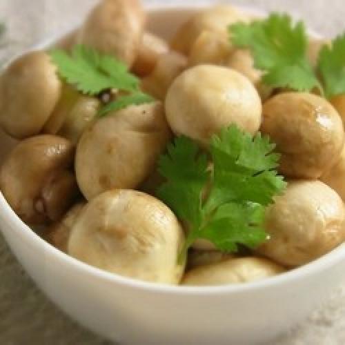 Срок хранения шампиньонов свежих в холодильнике. Сколько хранятся грибы шампиньоны в холодильнике? 07