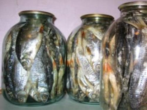 Сколько хранится сушеная рыба в холодильнике. Способы для долгосрочного хранения