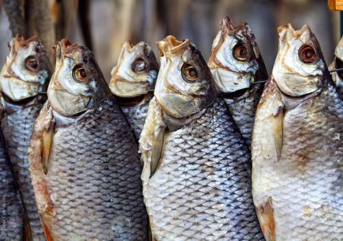 Как хранить таранку в банке. Срок хранения таранки