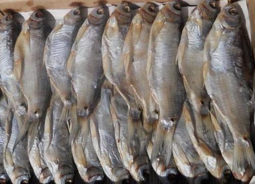 Как хранить таранку в банке. Срок хранения таранки