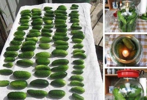 Хранение огурцов в свежем виде в банке со свечой. Как сохранить свежие огурцы на зиму в банке со свечкой? Лайфхак для хозяек