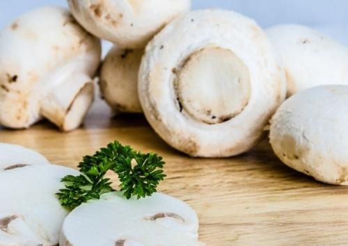 Как правильно упаковать шампиньоны перед хранением в морозилке. 4 лучших способа, как заморозить свежие шампиньоны