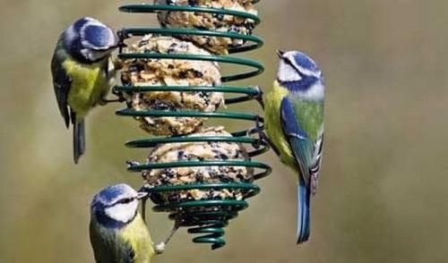 Чем клеить матрас надувной. Клеим надувной матрас разными способами 06