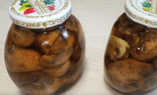 Маринованные шампиньоны в домашних условиях быстро и вкусно. Маринованные шампиньоны в домашних условиях. Быстро к столу и на зиму. 9 простых рецептов