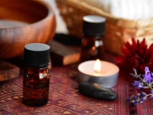 Как размножаются мошки. Мошки — это совсем не то что у тебя на кухне! 21 Как размножаются мошки. Мошки — это совсем не то что у тебя на кухне! 21