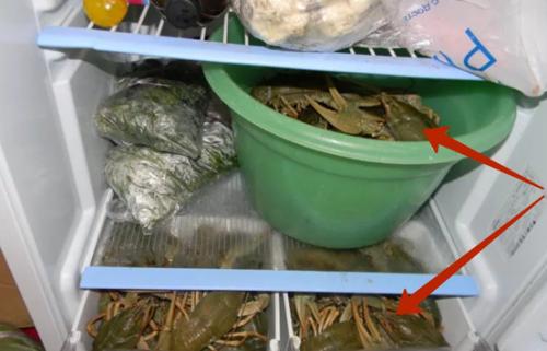 Можно ли замораживать раков живых для хранения. 5 способов сохранения живых раков дома