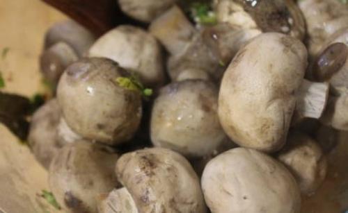 Шампиньоны соленые быстрого приготовления в домашних условиях. Как приготовить маринованные шампиньоны по-корейски дома?