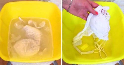 Как отстирать белый бюстгальтер в домашних условиях. Как правильно стирать белый и цветной бюстгальтер в домашних условиях