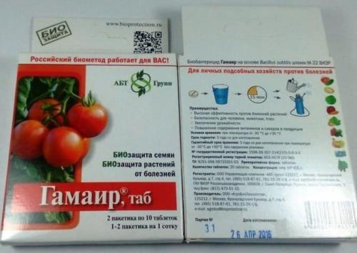 Мучнистая роса на цветах, как бороться на даче. Как бороться с мучнистой росой, эффективные средства и способы лечения
