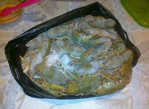 Можно ли замораживать раков живых для хранения. 5 способов сохранения живых раков дома